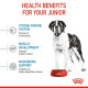 Royal Canin Giant Junior – Hrană Uscată pentru Câini Tineri de Talie Gigantă – 3,5 kg